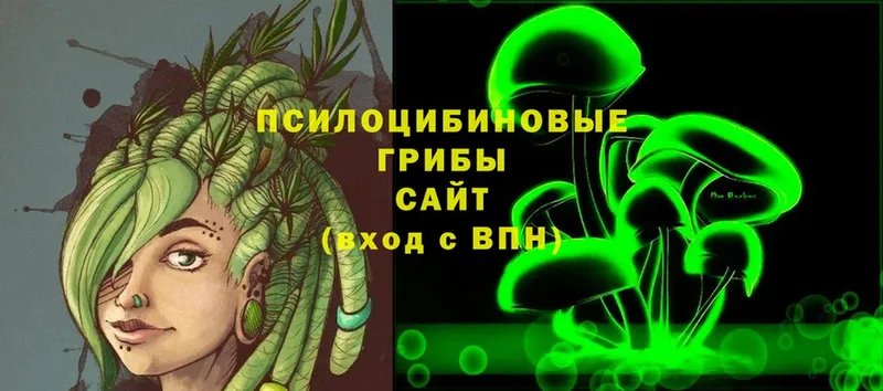 Псилоцибиновые грибы Psilocybe  купить закладку  Балей 